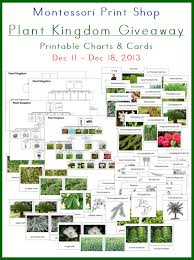 Plant Kingdom Charts And Cards Montessori Montessori