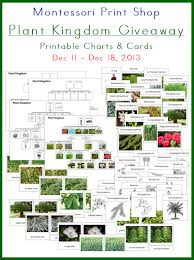 plant kingdom charts and cards montessori montessori