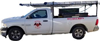 Stribai ir kova su kenkėjais. Michigan Bat Control Inc Pest Control Animal Control Bird Control Pro