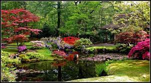 The Japanese Garden Of The Hague Japanese Garden Backyard Water Feature Wisteria Garden
