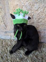 Cactus Hat For Cat Hat For Cat Costume For Cat Kitten Accessories Hat For Cat Gift For Cat Lowe Cat Accessories Cat Costumes Kitten Accessories