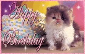 Home » geburtstagswünsche » geburtstagswünsche gif » gif » geburtstagswünsche gif. Katze Geburtstag Gif