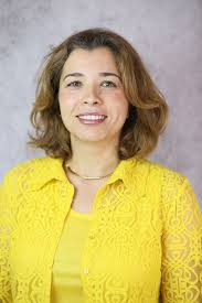 A New Immersion and Invariance Control and Stable Deep Learning Fuzzy  Approach for Power/Voltage Control Problem