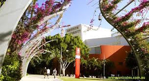 Pin On University Melbourne Roles Levels