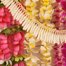 Luau Games For A Hawaiian Themed Party