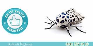 Kaliteli Ilaclama Kaliteli Bocek Ilaclama Kaliteli Fare Ilaclama Kaliteli Pire Ilaclama Kaliteli Ev Ilaclama Icin Bize Ulasiniz Miss Ilaclama Fareler Bocek