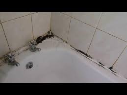 How To Clean The Grout Between Your Wall Tiles And Revamp Mouldy Mastic Shower Grout Remove Mold From Shower Mold Remover