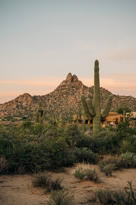 From cactus trails to clay wraps—discover wellness in Scottsdale, Arizona |  National Geographic