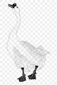 Black And White Goose With Red Beak Black Goose Outline Vintage Illustration Free Image By Rawpixel Com Aom Woraluck In 2020 Vintage Illustration Free Illustrations Illustration