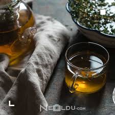 Zayiflamaya Yarayan En Iyi 25 Bitki Cayi