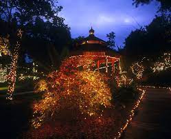 Holiday Garden Of Lights At San Diego Botanic Garden In Encinitas Garden Of Lights San Diego Botanic Garden Botanical Gardens
