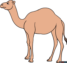 How to Draw a Camel - Really Easy Drawing Tutorial