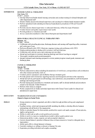 clinical therapist resume samples