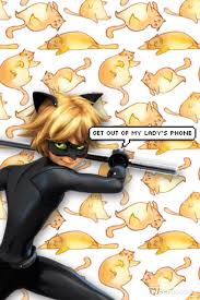 Once the download completes, the installation will start and you'll get a notification after. Cats Chat And Wallpaper Image Chat Noir Miraculous Ladybug Png 853x1280 Wallpaper Teahub Io