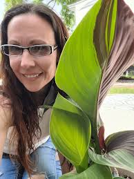 My cleopatra canna Lily is blooming