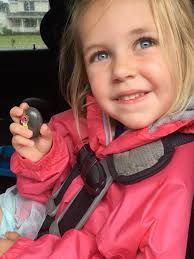 Hiding in rocky mountain national park