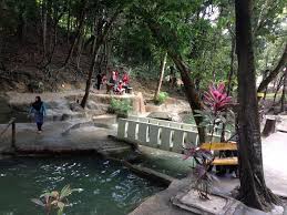 Taman rimba teluk bahang entrance fee. A Ninkvcgpsum