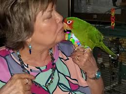 Janice G. Jenkins's Obituary