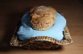 Baker Turns Bread Into Ultra Cute Catloaf Bored Panda Neko neko shokupan, who initially started with plain white bread shaped like a cat, is now offering.