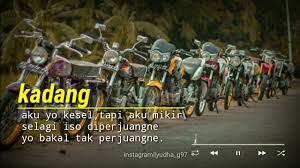 856 likes · 11 talking about this. Story Wa Herex Cb Gl Mp Tiger C70 Youtube