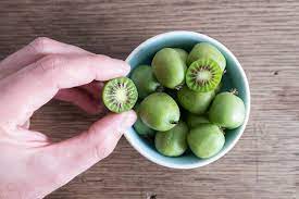 We did not find results for: Actinidia Arguta Issai Hardy Kiwi Vine