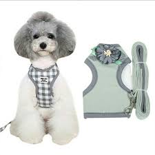 Pin De Vision Loot Em Pet Harness Animais De Estimacao Cuidados Para Animais De Estimacao Estimacao