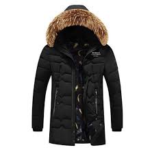 Zoopark Prez Noshta Egipetski Praznina Parka De Marque Protectolympicpeninsula Org