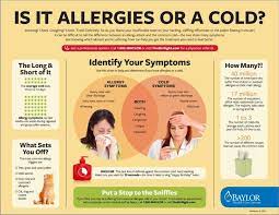Printable Infographic Is It An Allergy Attack Or The Common Cold Here S How To Tell The Difference Ba Allergies Vs Cold Allergies Infographic Health