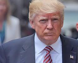 Norton, Vets Scoff at Trump Military Parade Idea