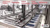 Packaging line automation