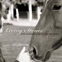 living stones: life lessons learned on the farm by laurel perrigo ...
