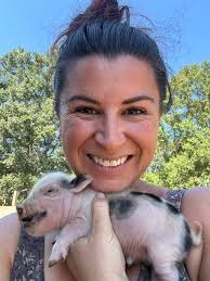 Mini potbelly piglets for sale