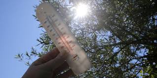 34°c au canada, pas mal. Canada La Canicule Au Quebec Fait Au Moins 33 Morts