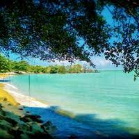 Count on edreams and search for last minute deals on flights, useful travel tips and more! Borabora Chalet Resort