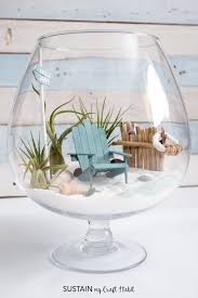 Choose small or miniature plant varieties so they don't overtake the container. Diy Beachy Air Plant Mini Garden Terrarium Sustain My Craft Habit