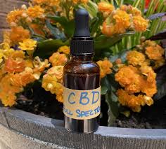 We did not find results for: How To Make Full Spectrum Cbd Oil Homemade