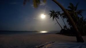And when the sun goes down, you can dance the night away at the disco or simply gaze at the stars with your drink of choice. Beach View At Night That S The Moon Not The Sun Picture Of Milaidhoo Island Maldives Tripadvisor