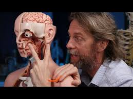 Glossopharyngeal Neuralgia Treatment Options with NSPC's Dr. Michael  Brisman