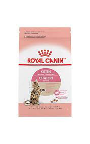 Kitten Food Feeding For Growth Development Royal Canin Dry Cat Food Kitten Food Kitten