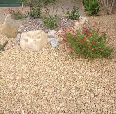What kind of rock do you use in tucson? Apache Gold Gravel 7 8 Is A Crushed Granite Rock That Is Very Complimentary To Drought Resistant Landscaping Decomposed Granite Landscaping Granite Landscape