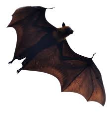 Have you got preventative measures in place to protect your business? Abate Pest Control Ltd