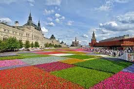 We did not find results for: 11 767 Flowers Red Square Photos Free Royalty Free Stock Photos From Dreamstime