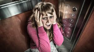 Publishing a book is the best life hack for entrepreneurs, but don't worry about the writing part. How To Survive In A Plummeting Elevator News Com Au Australia S Leading News Site