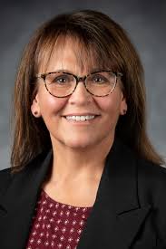 Braxton County 2024 primary election voter guide: What you need to know