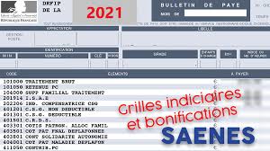 Par extension, les arbres, les plantes ont leurs maladies. A I Unsa Votre Fiche De Paie 2021 Saenes