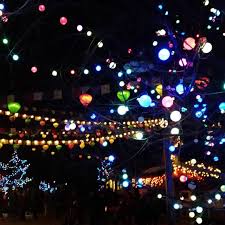 Rachel Garza On Instagram Denverzoo Lights So Pretty And Fun Perfect Night For It Grammasters3 In 2020 Pretty Instagram Fun