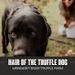 Hair Of The Truffle Dog