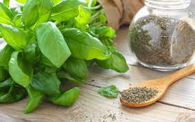 Needless to say, basil is an aromatic herb that receives quite a bit of attention. Basil Substitute The 8 Best Options Cuisinevault