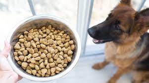 Best Dog Foods For German Shepherds Puppies Adults Seniors