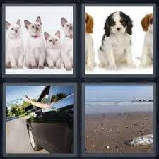 4 pics 1 word 6 letters? 4 Pics 1 Word Answers And Cheats Updated 2019